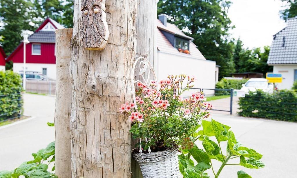 Apartmán Sonnenblumenhaus 02 Prerow Exteriér fotografie
